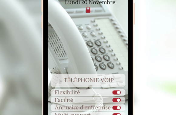 Téléphonie VoIP